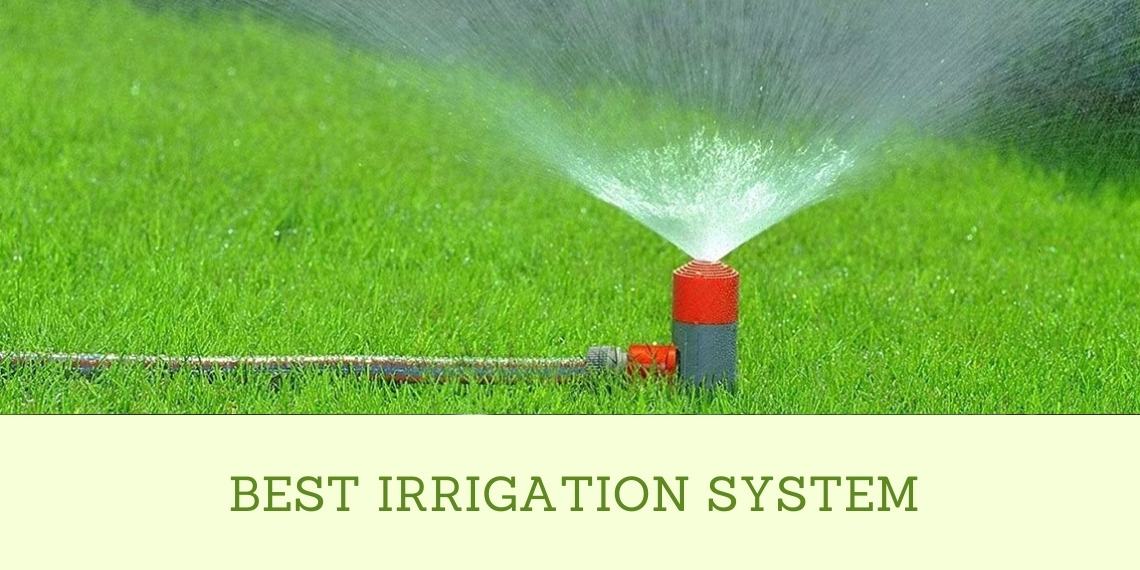 Best Irrigation System - HydroponicsDaily