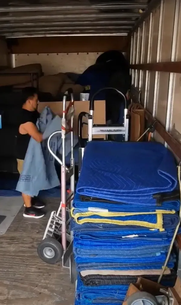 Gym Equipment Movers 20 Gym Equipment Movers